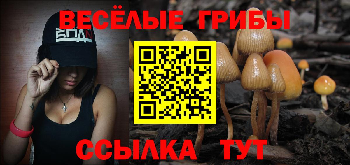 наркота  Галлюциногенные грибы MAGIC MUSHROOMS  Вход с VPN  Воронеж 