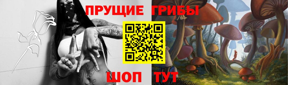 Галлюциногенные грибы прущие грибы Воронеж